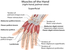 Hand Pain Physiotherapy