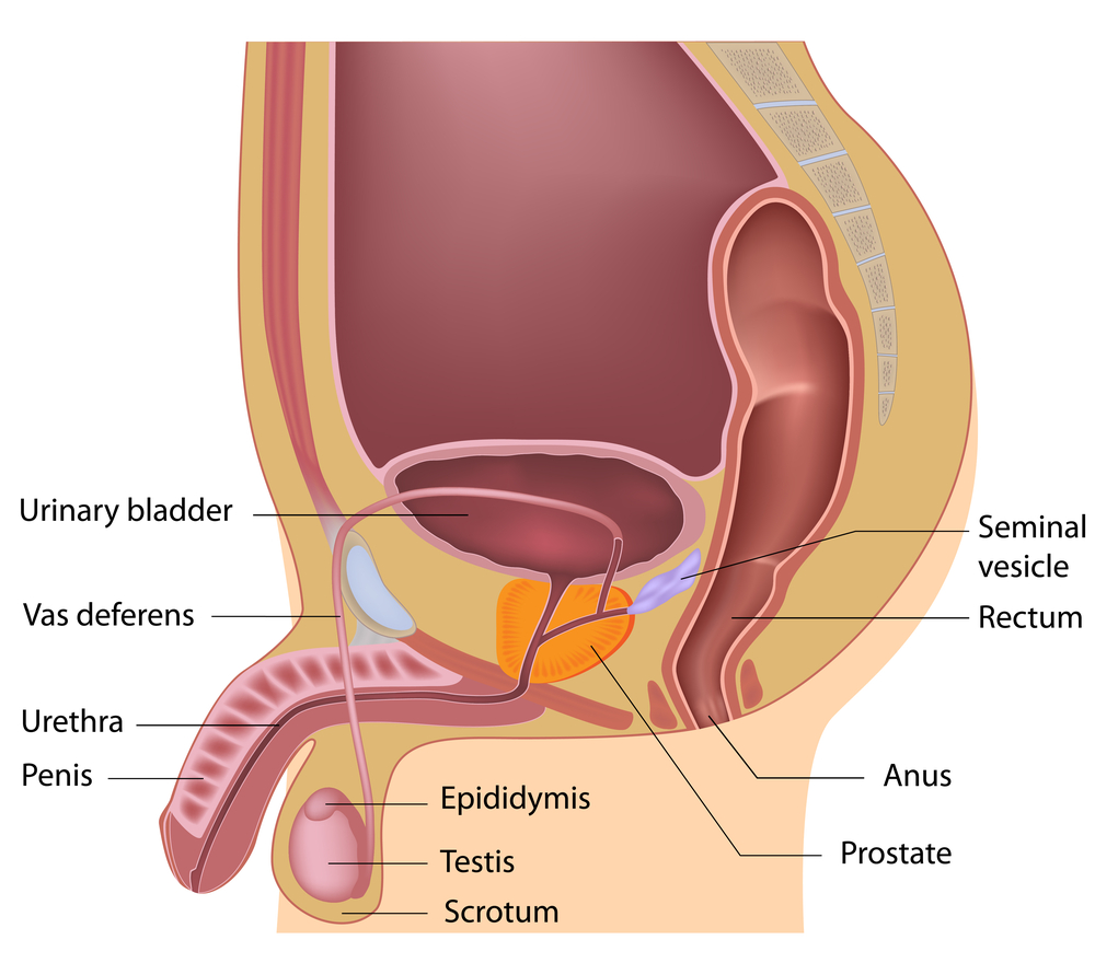 Prostatitis