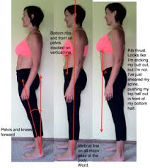 PELVIC FLOOR: POSTURE