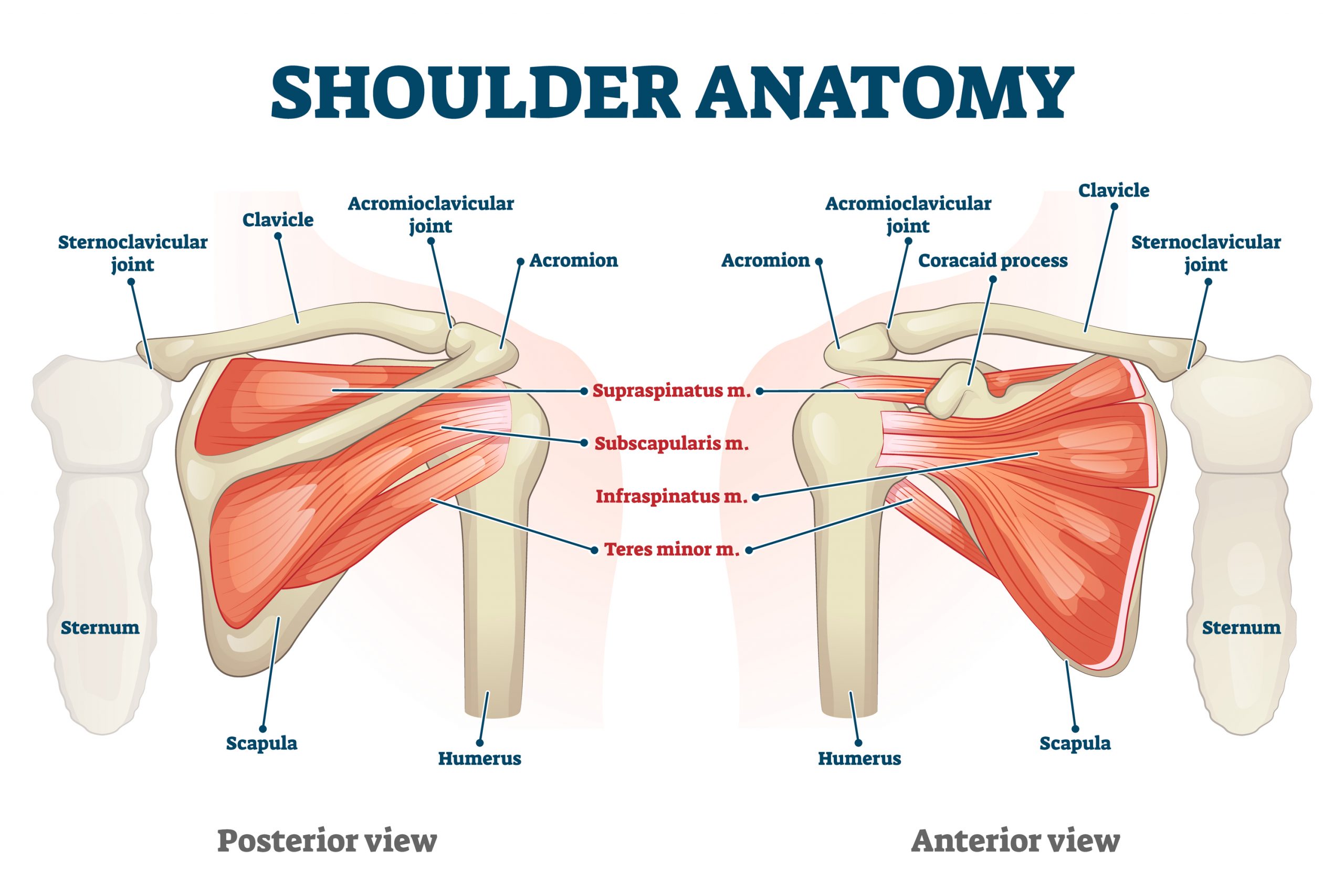 Osteoarthritis Treatment