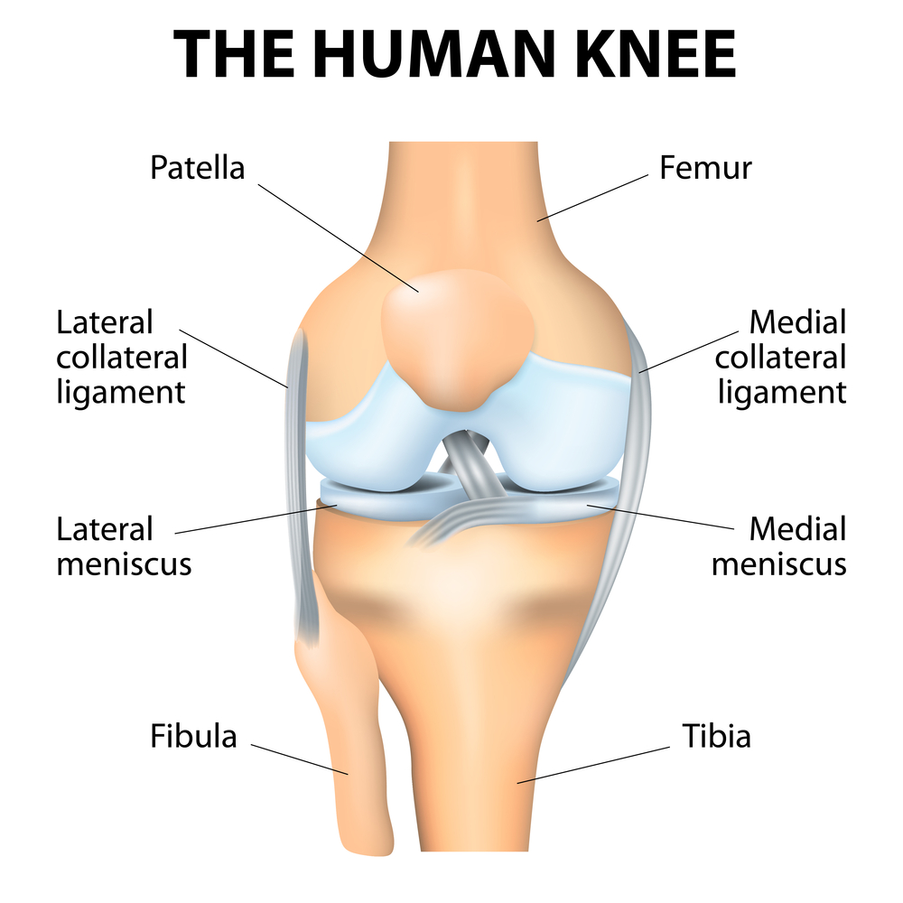 Knee Replacement Surgery