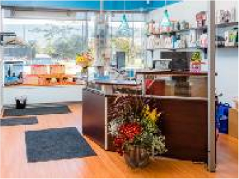 PhysioNow - Physiotherapy Clinic