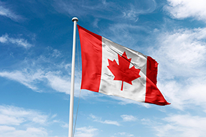Interim Federal Health Program